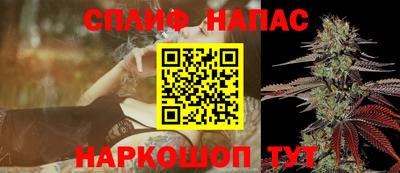 гашик Малгобек
