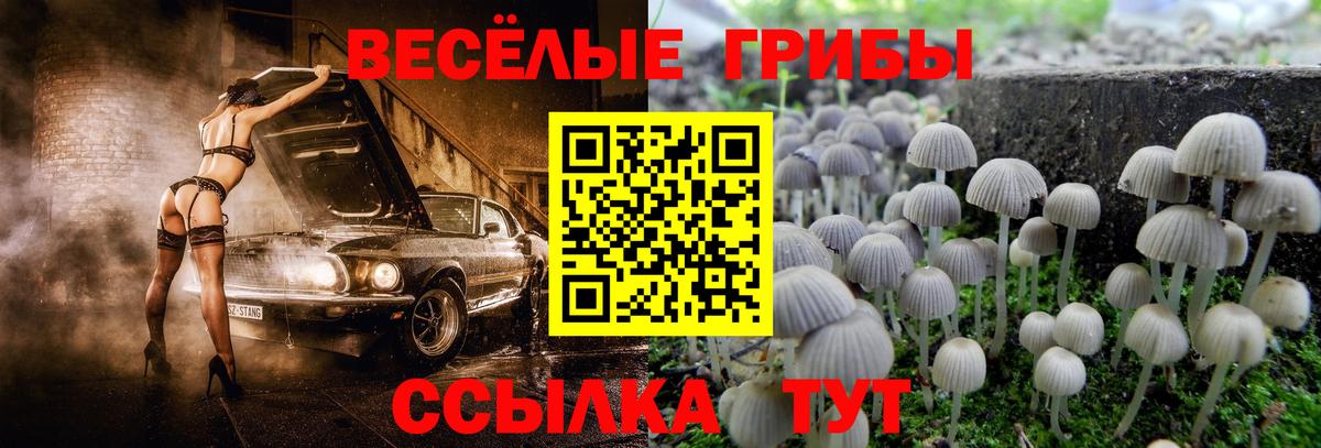 Вышний Волочёк  где купить   Вход с VPN  Псилоцибиновые грибы мицелий 